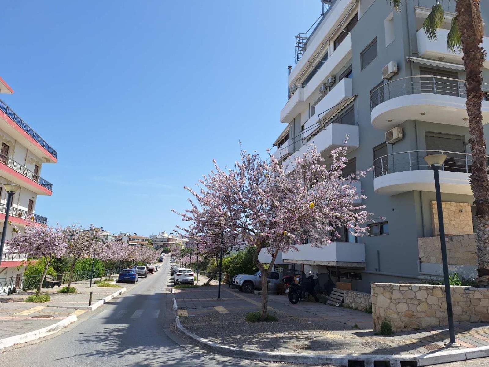 Iriana'S Apartments In Center ハニア エクステリア 写真